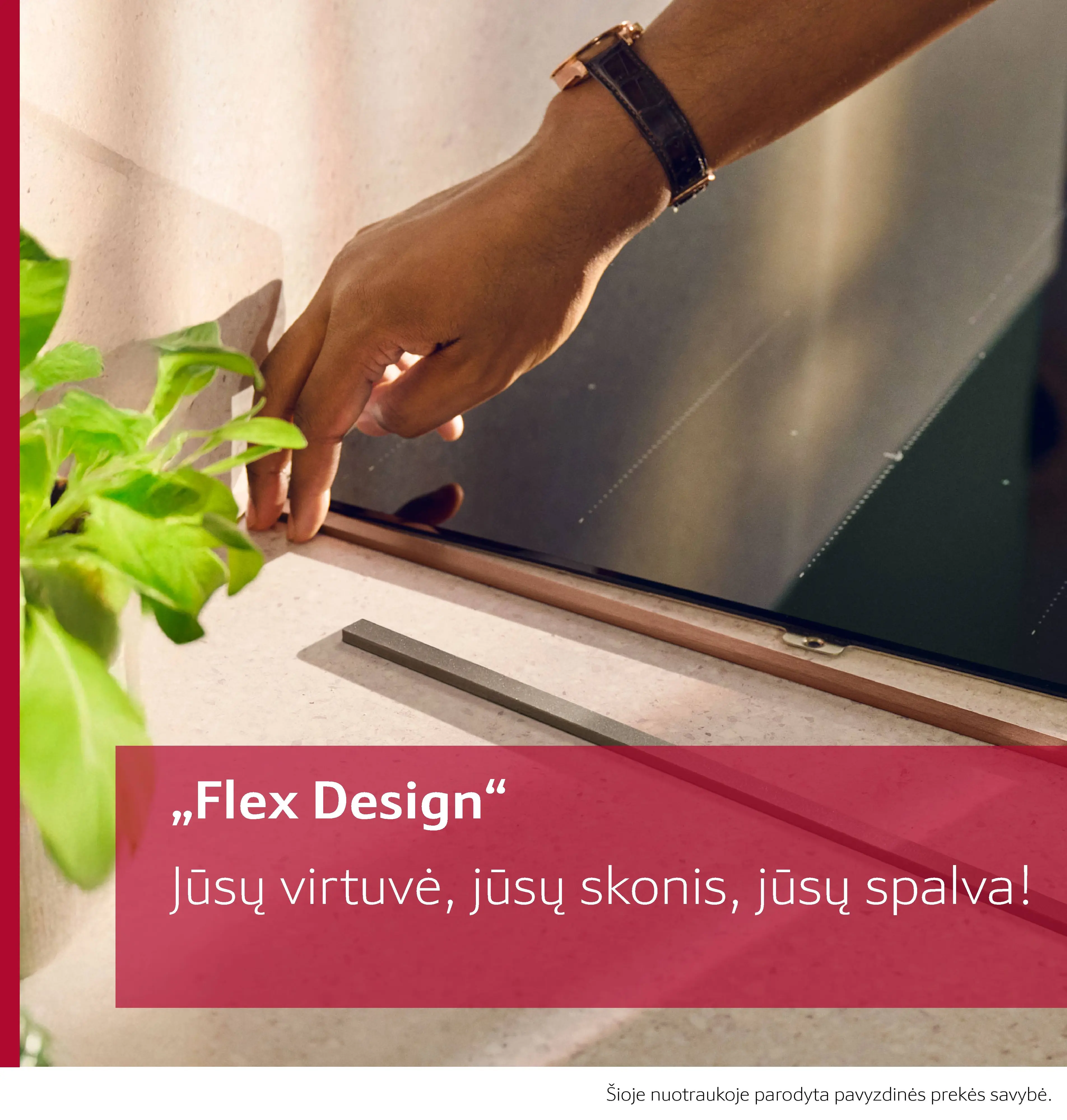 Sumažinta produkto nuotrauka nr. 9