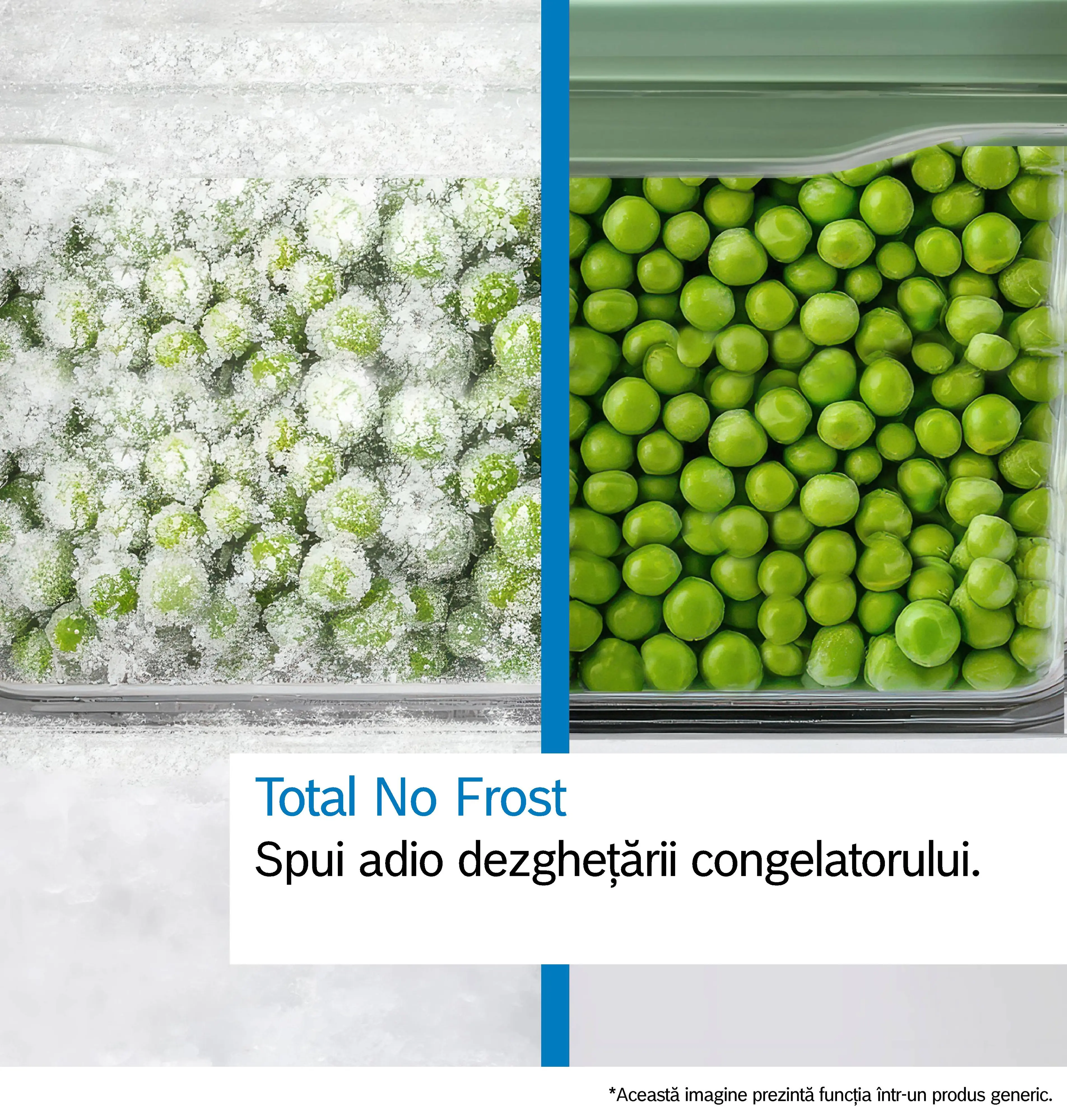 Fotografie Nr. 4 a produsului GSN36VLDG