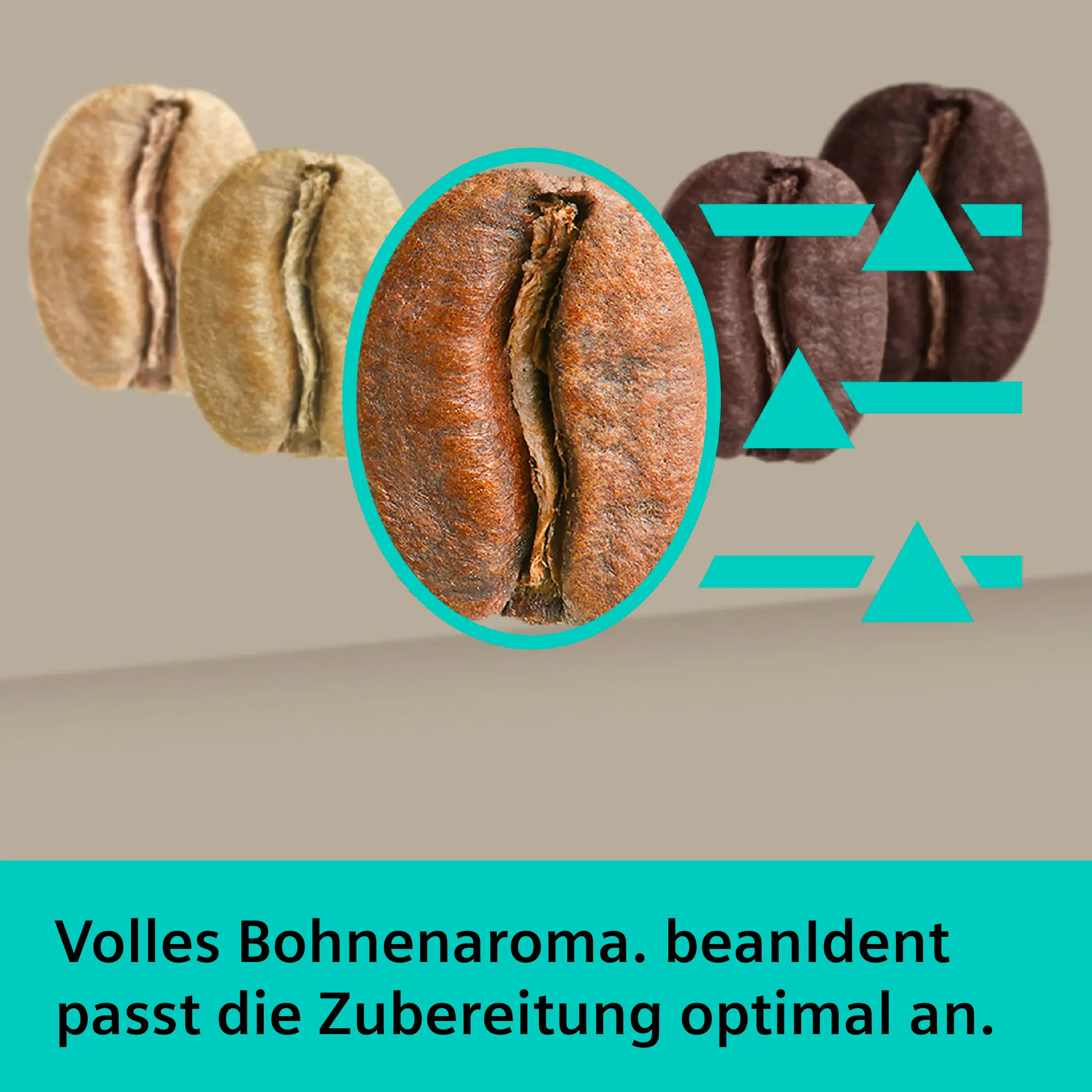 Foto-Vorschau Nr. 4 des Produkts