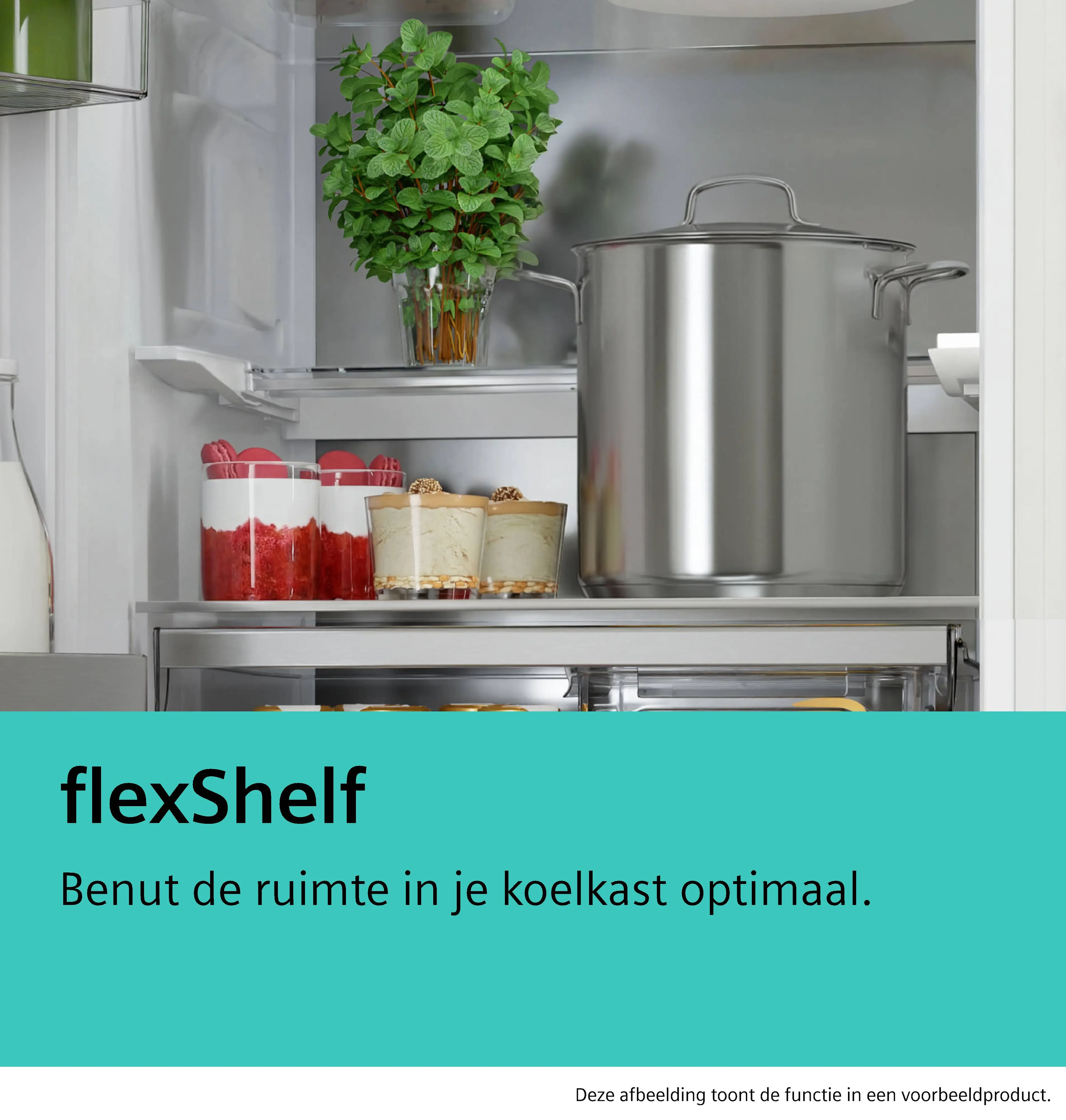 Foto miniatuur nr. 8 van het product