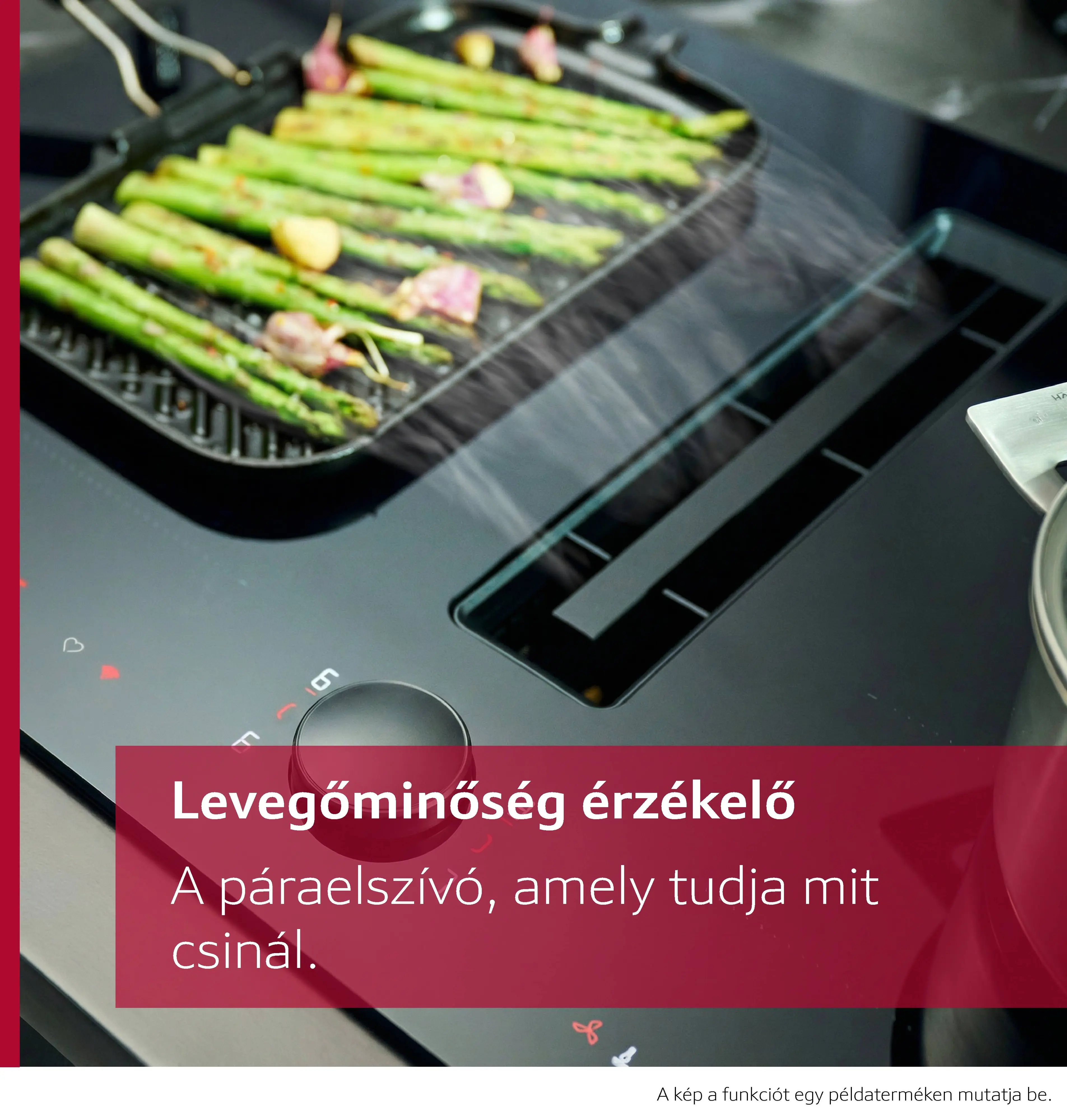 Fotó: Nr. 7.
