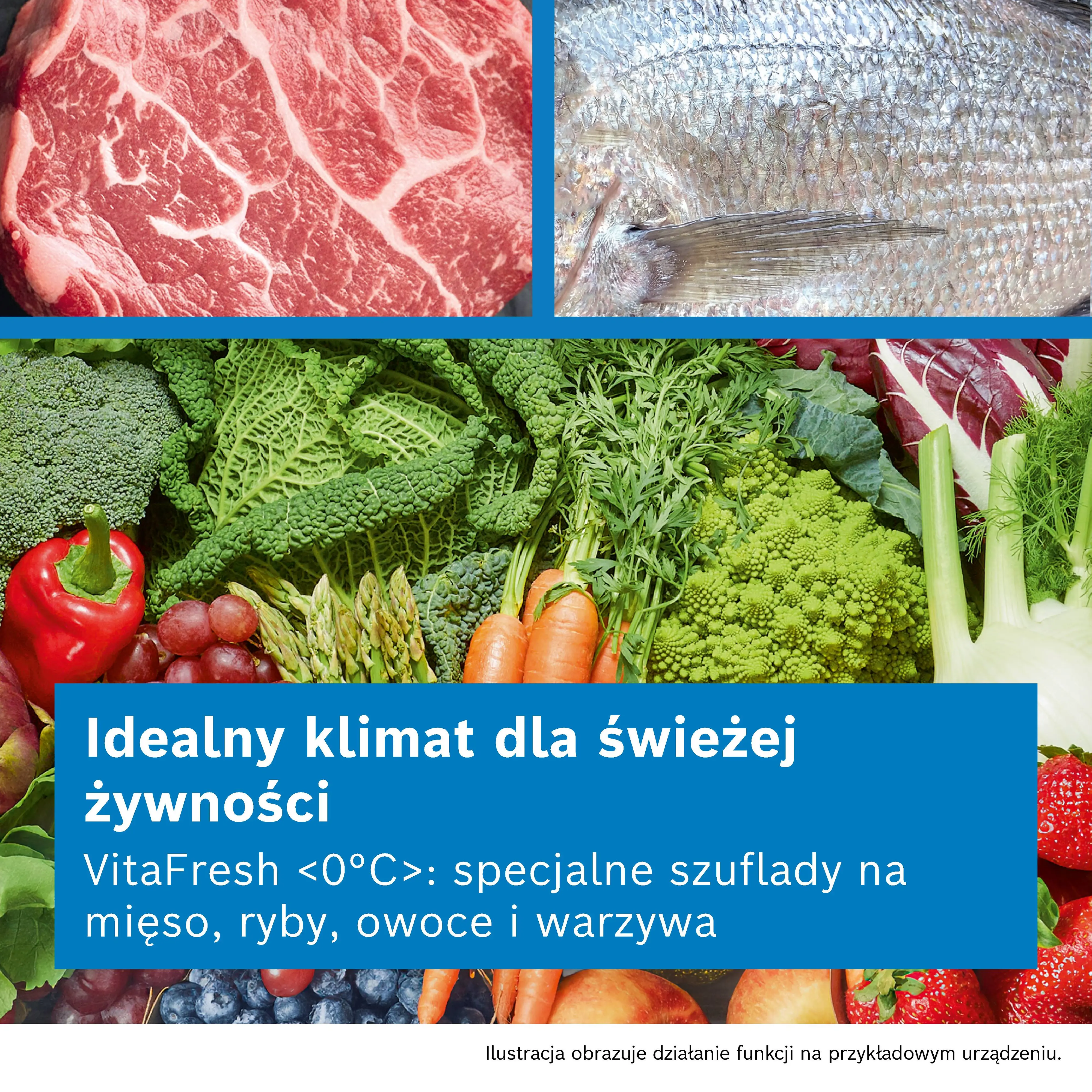 Zdjęcie produktu nr 8 KGN49OCAF