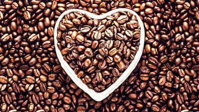 Caffè lungo o ristretto: quali sono le differenze e cosa sapere