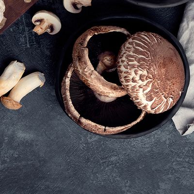 Mixture of different mushrooms