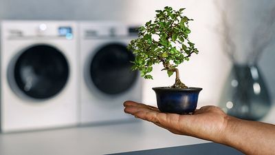 Een bonsaiboompje met twee wasmachines in de achtergrond