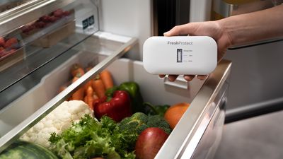 Dlon trzymajaca produkt freshprotect, w tle otwara lodowka a niej owoce i warzywa
