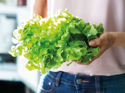 Siemens koelkasten - vergeet ontdooien maar