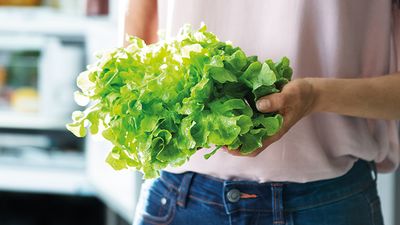 Una familia en la mesa de desayuno en una cocina equipada con electrodom&eacute;sticos Siemens