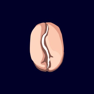 Illustratie van een heel licht gebrande koffieboon tegen een donkerblauwe achtergrond.