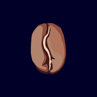 Illustratie van een licht gebrande koffieboon tegen een donkerblauwe achtergrond.