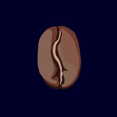 Illustratie van een medium gebrande koffieboon tegen een donkerblauwe achtergrond.