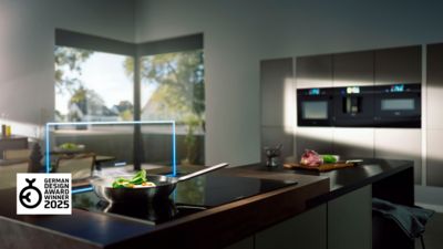 Cuisine moderne avec comptoirs noirs, appareils en acier inoxydable et grandes fenêtres donnant sur le paysage extérieur.