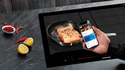 Wireless roasting sensor