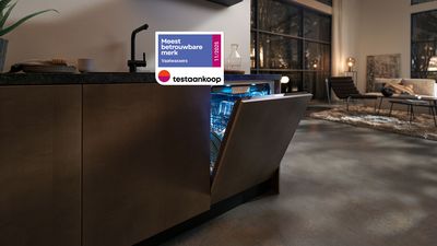 Wasmachine, handdoeken, houten latten, Testoonkopp merk bord, wasmand.