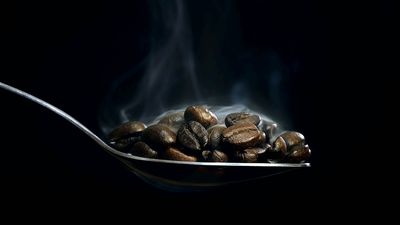 Кофейный мир с бытовой техникой Siemens: жареные кофейные зерна в ложке