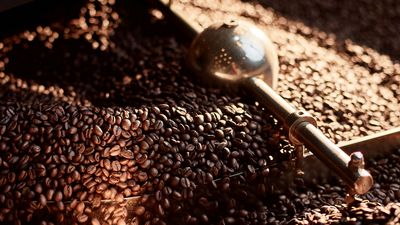 Culture café Siemens - Votre thé quotidien avec la machine à café tout automatique EQ.500 Siemens 