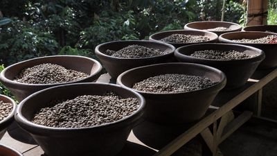 Keramikkfat med kaffebønner