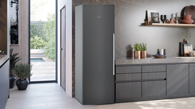 Freestanding Fridges