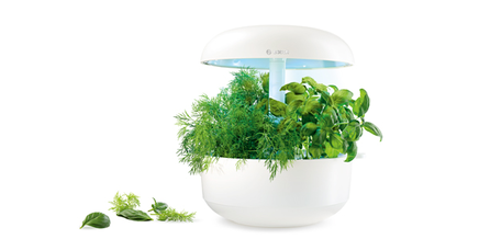 Hortas Inteligentes – SmartGrow