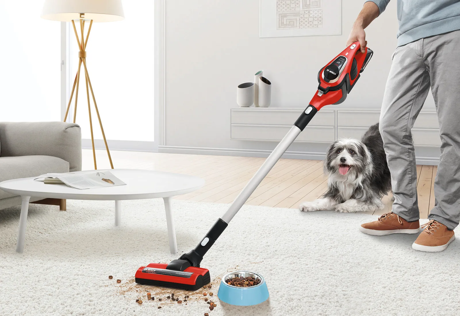 Persoana vacuum podea în timp ce câine ceasuri în camera de zi cu mobilier și decor.