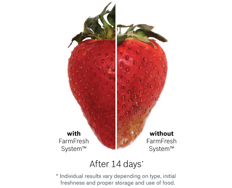 Image showing a strawberry after 14 days with and without FarmFresh System, highlighting freshness.