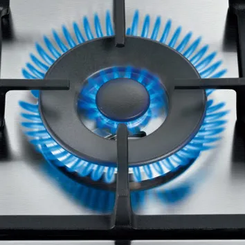 A Bosch gas stove burner with a blue flame lit, surrounded by black grates.