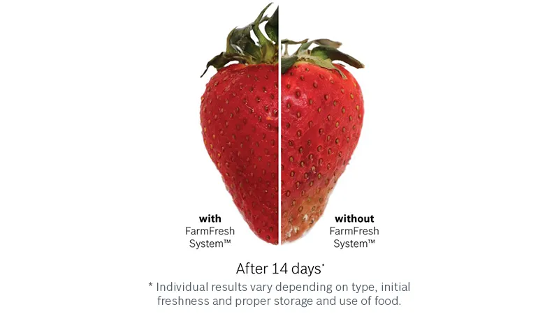 Comparison of fresh and stored strawberries, showing differences in appearance after 14 days.