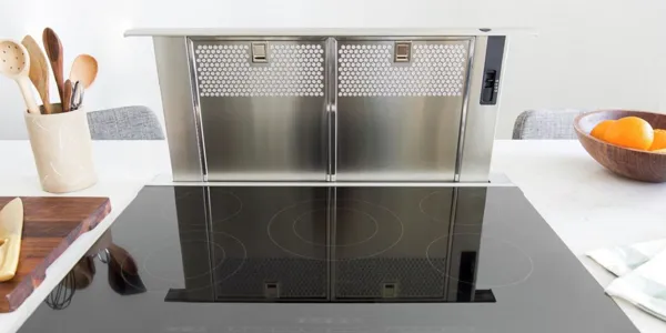 Bosch Stainless steel kitchen appliance, induction cooktop, utensil holder, wooden bowl, kitchen counter.
