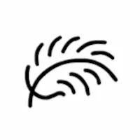 Abstract black feather or leaf-like shape with curved lines.