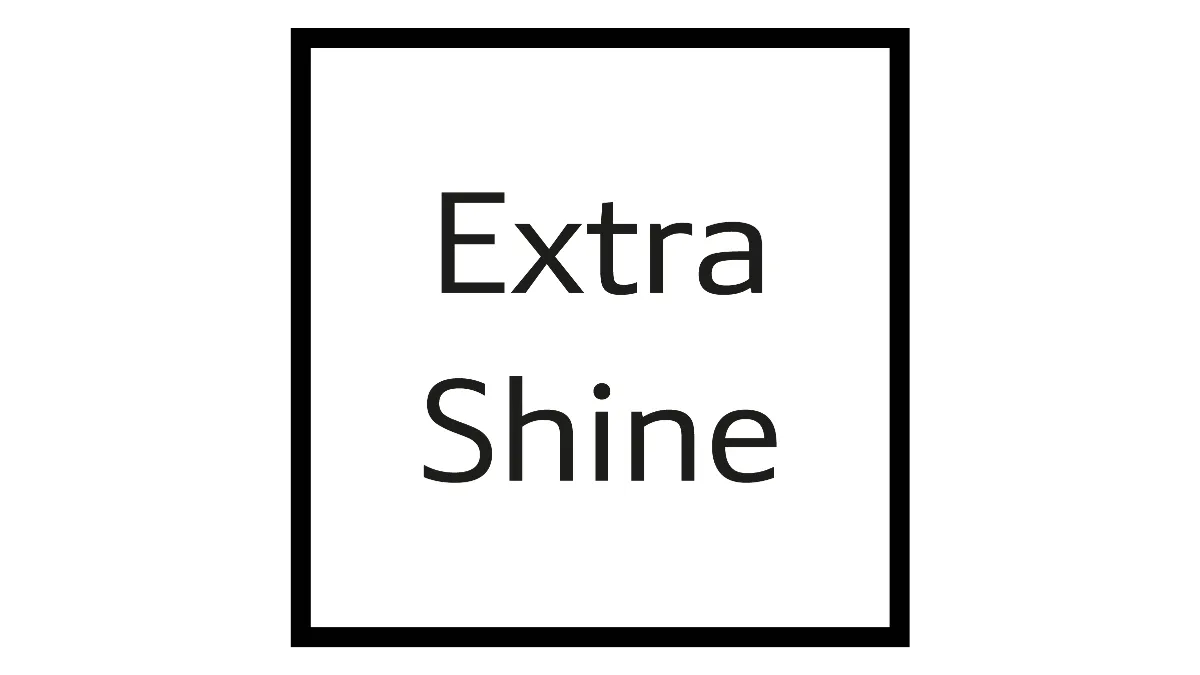 Black and white image with text "Extra Shine" in a simple, minimalist design.