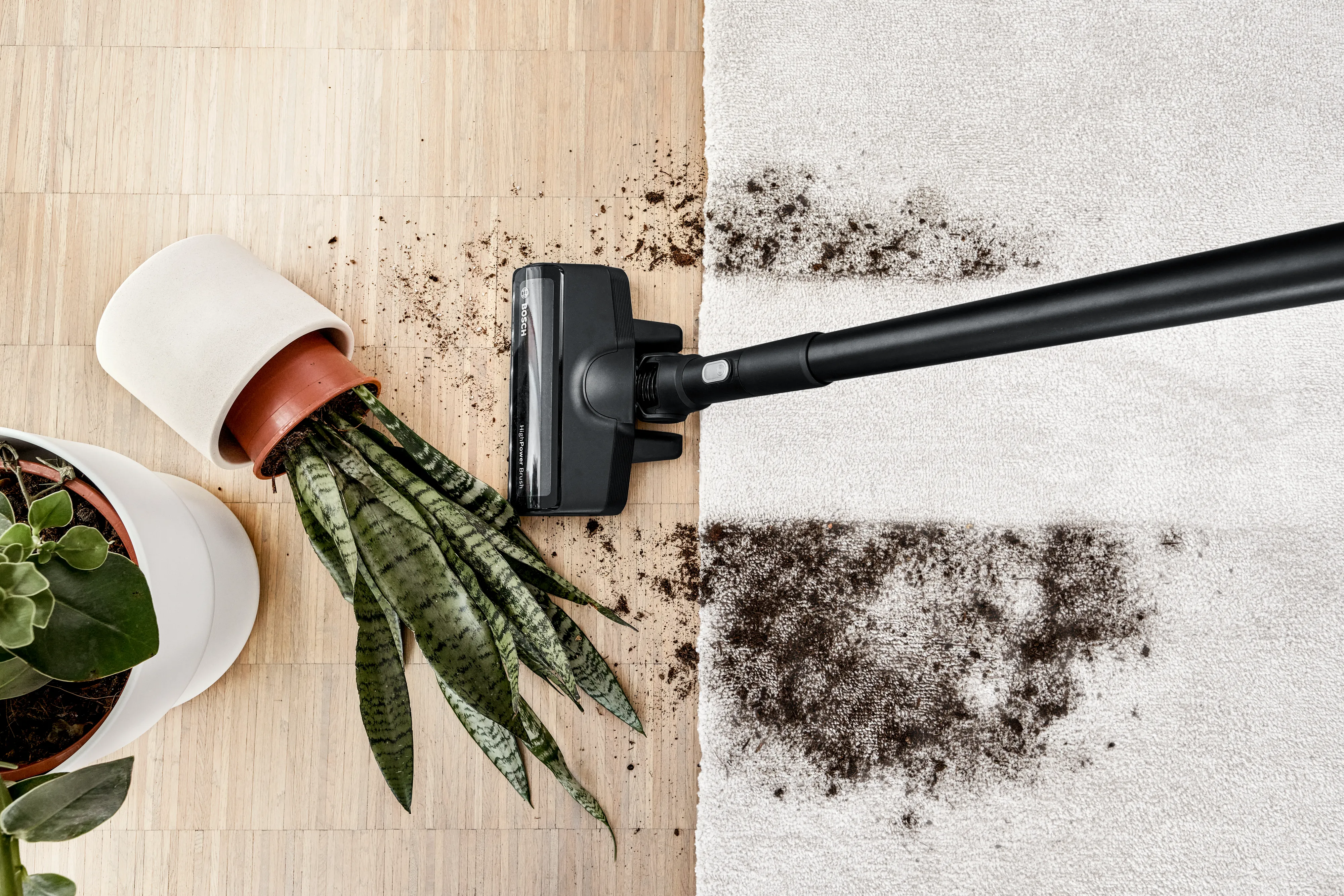 Vacuum cleaner cleaning mold on wall, plant pot, and cleaning supplies on wooden floor.