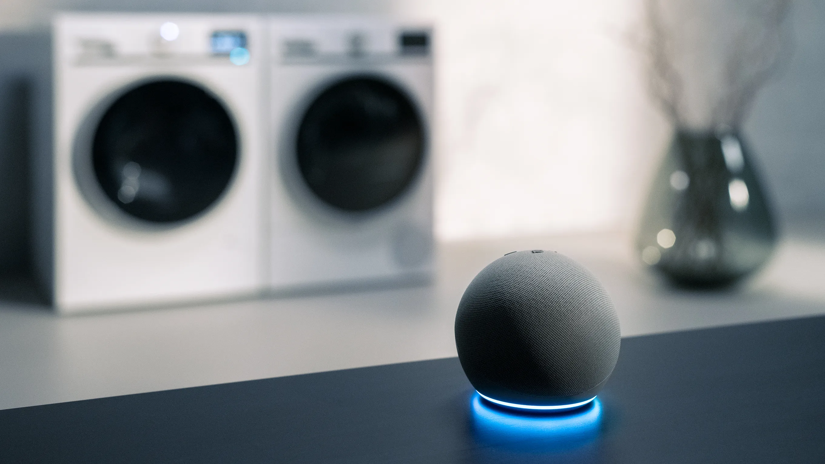 Washing machine, smart speaker, minimalist decor, modern appliances, technology, home interior.