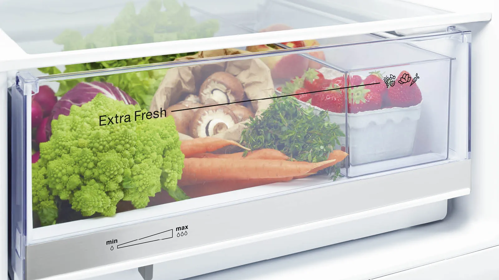 Constructa Kühlschrankfach „Extra Fresh“ mit buntem Obst, Gemüse und Kräutern.