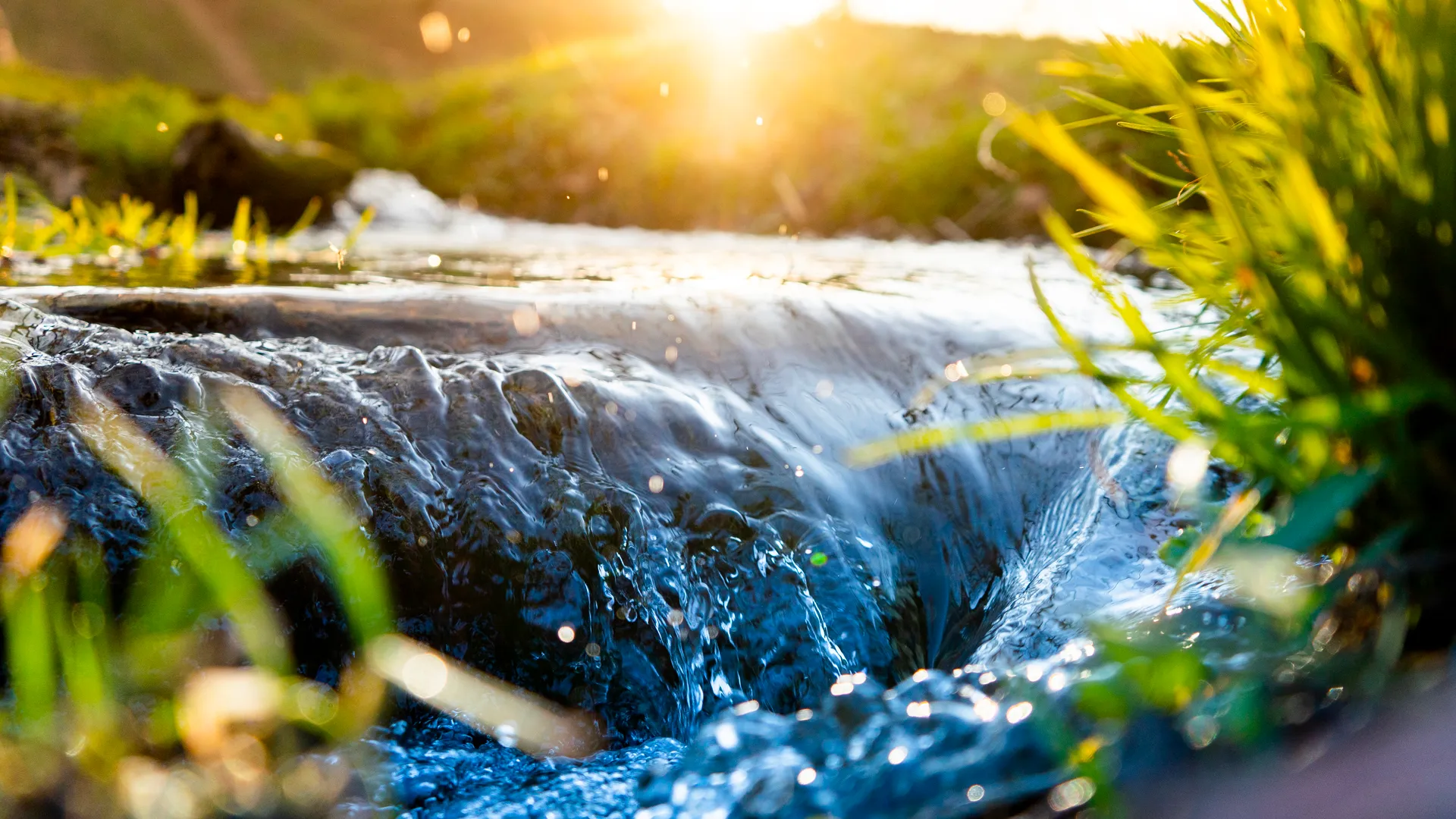 Güneş ışığı, lush yeşilery ve bir serene doğal manzara ile akış.