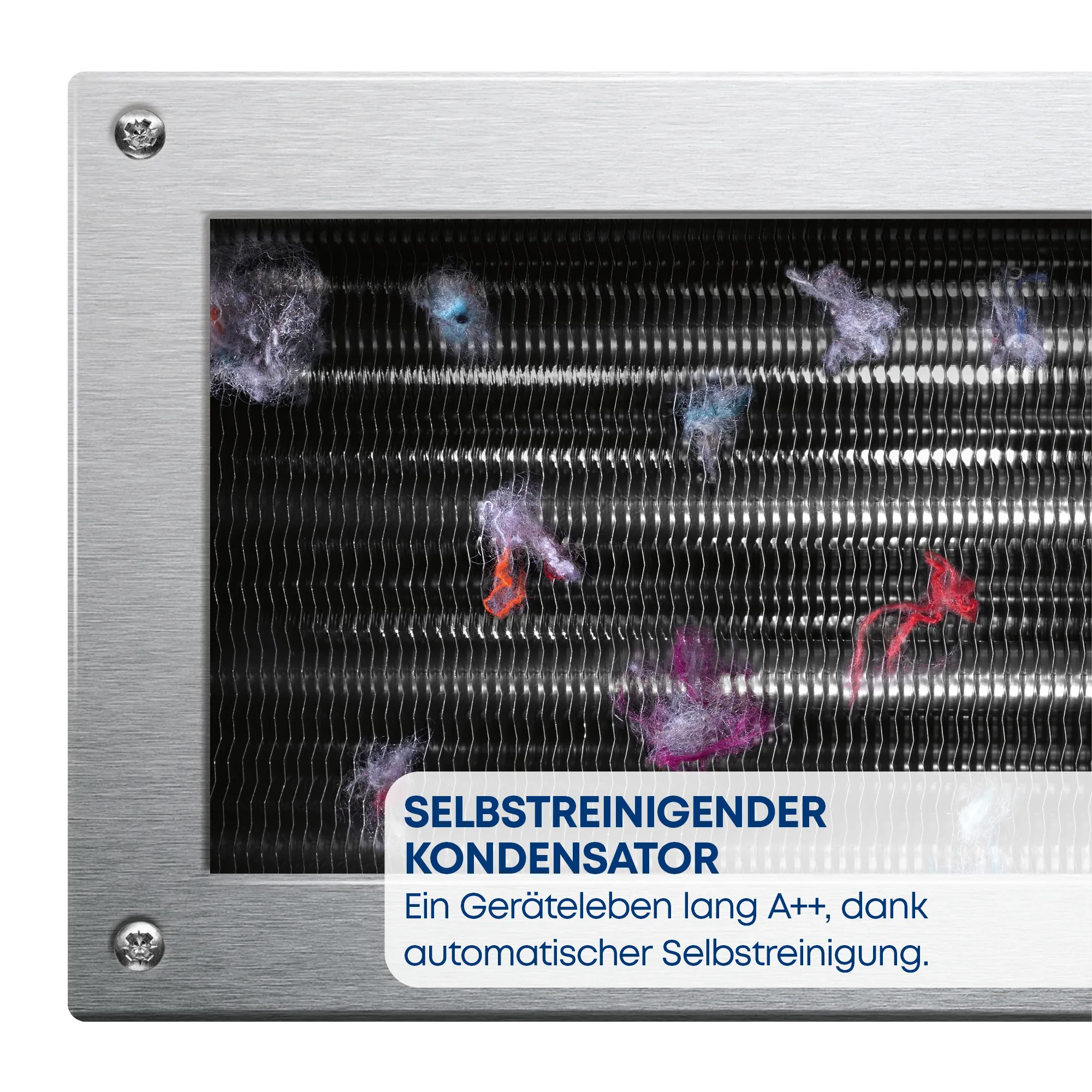 Bild Nr. 2 des Produkts CWK3M202
