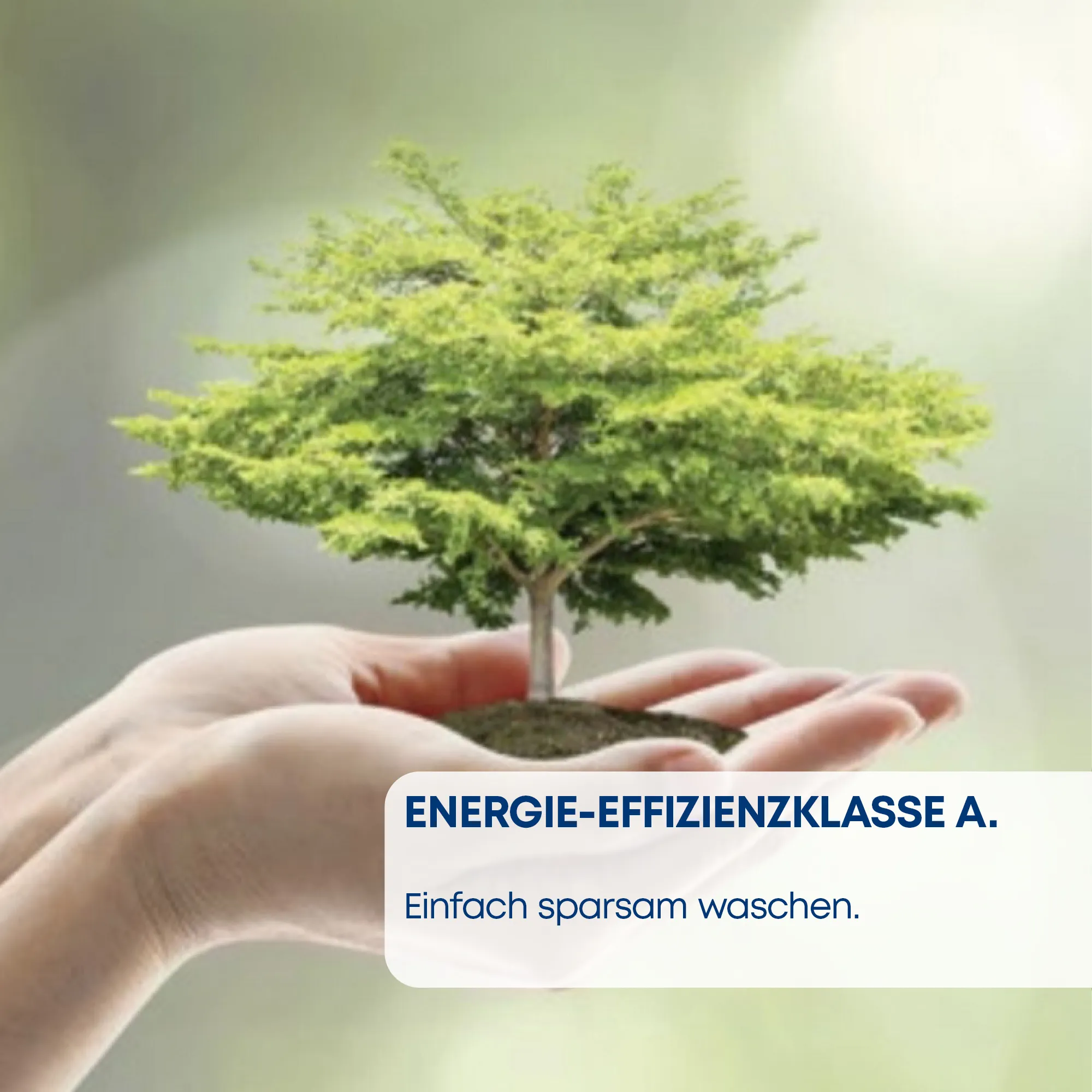 Bild Nr. 8 des Produkts CWF14G109