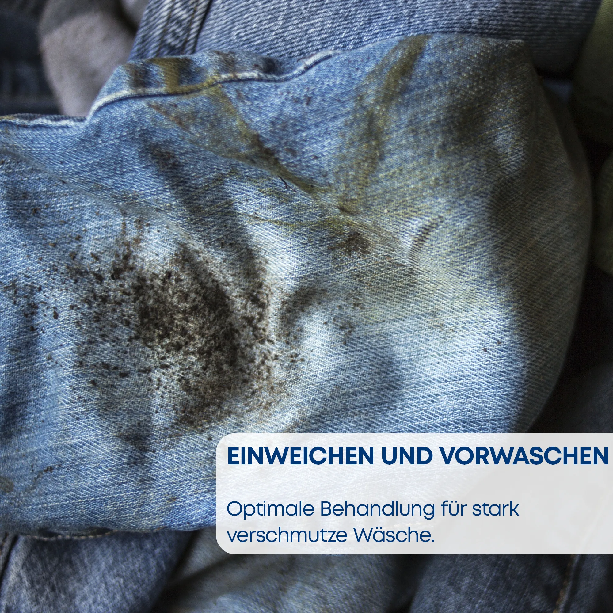 Bild Nr. 10 des Produkts CWF14G109