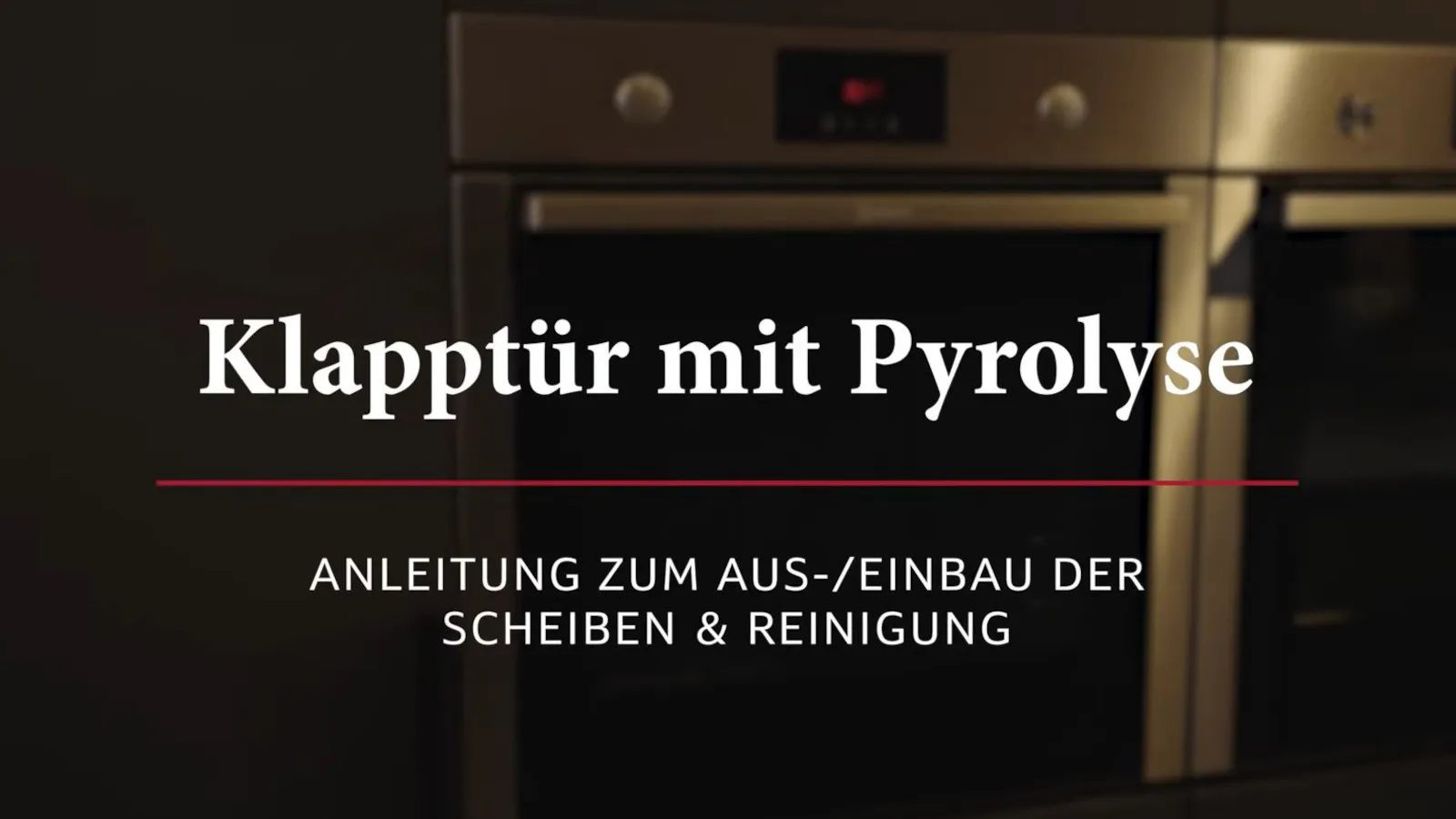 Backofen-Klapptür mit Pyrolyse ausbauen und reinigen