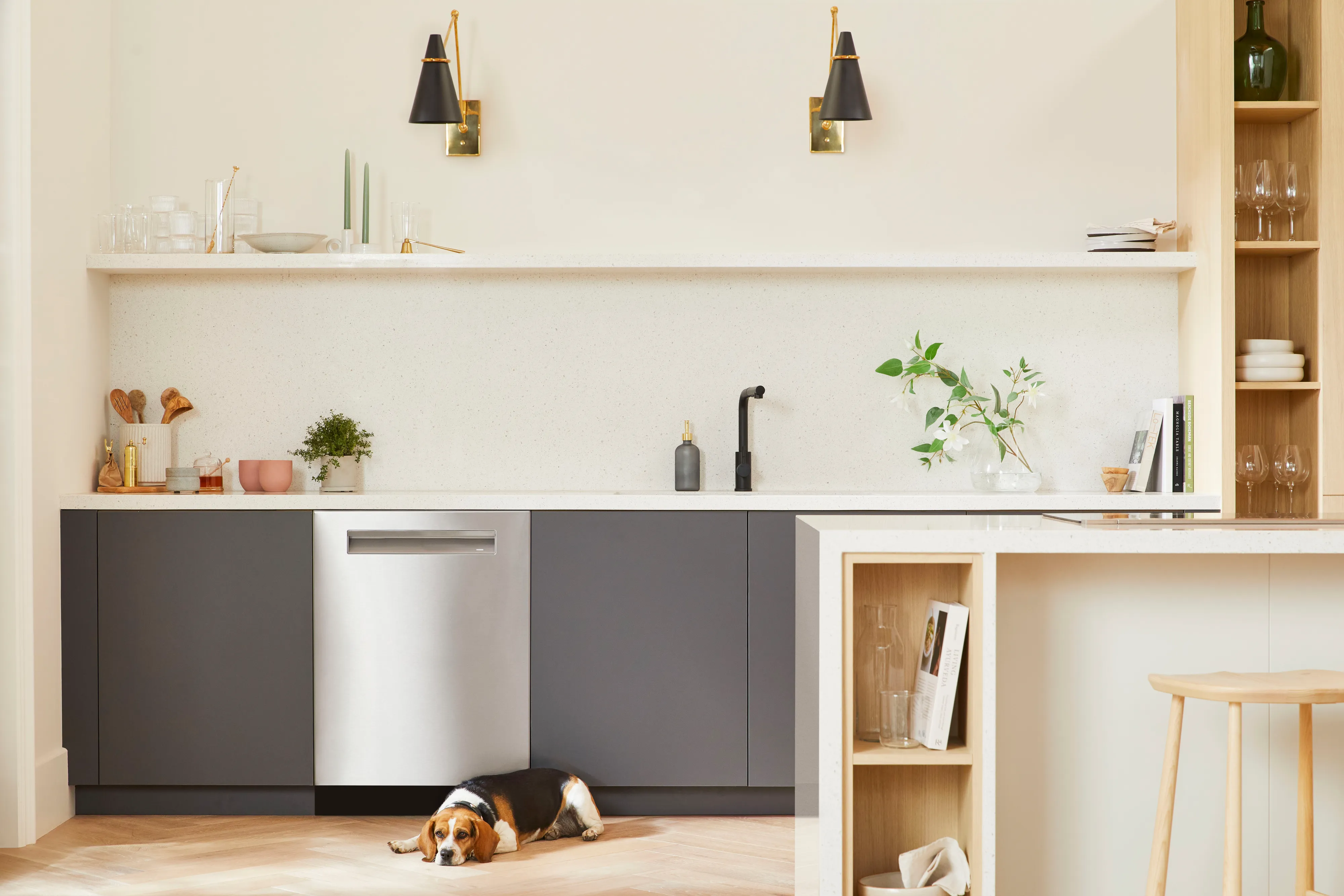 800 series bosch stainless steel dishwasher with dog in front