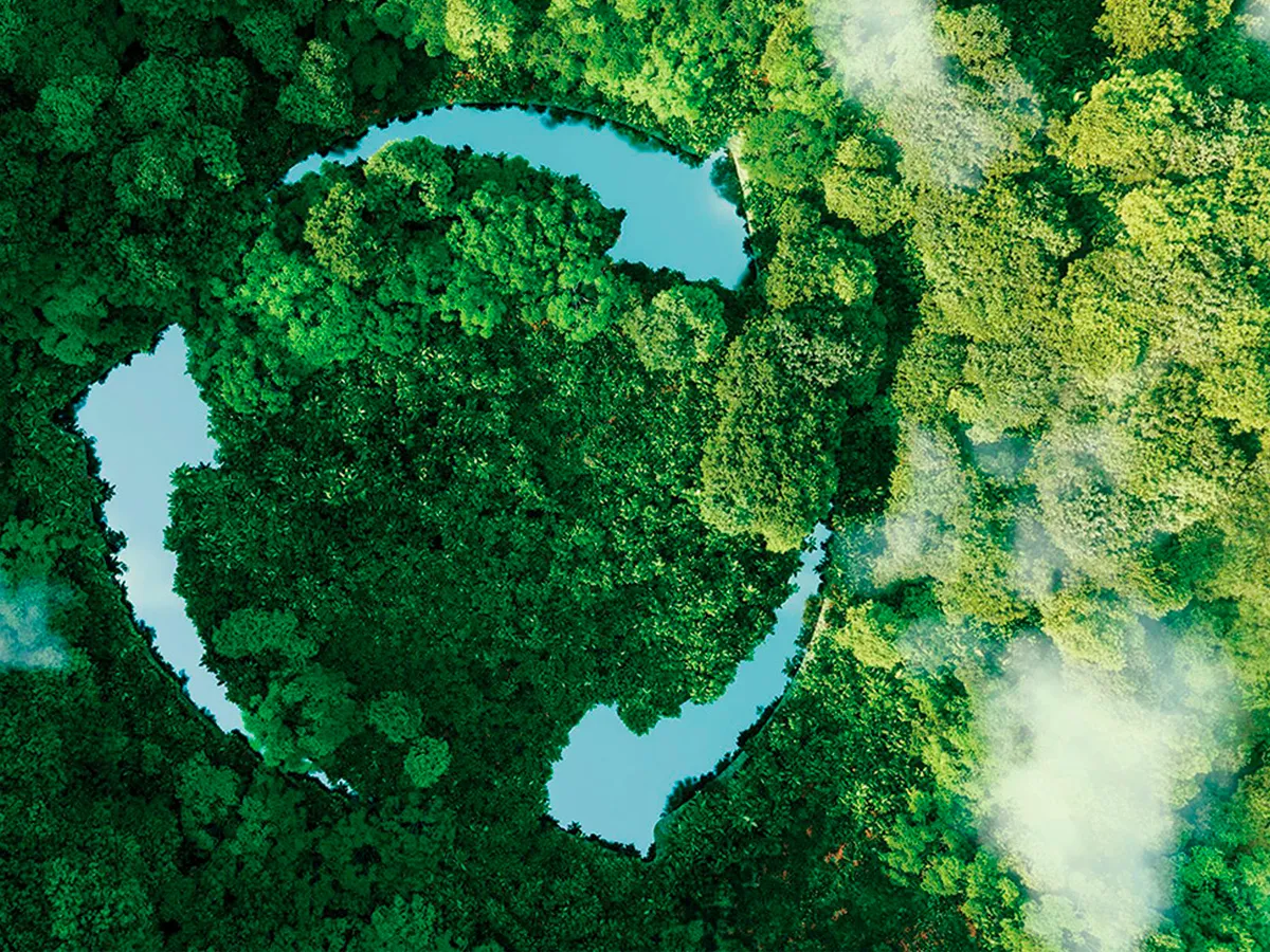 Widok z powietrza bujny, zielony las z krętymi wodami wodnymi i kieszeniami otwartej wody.