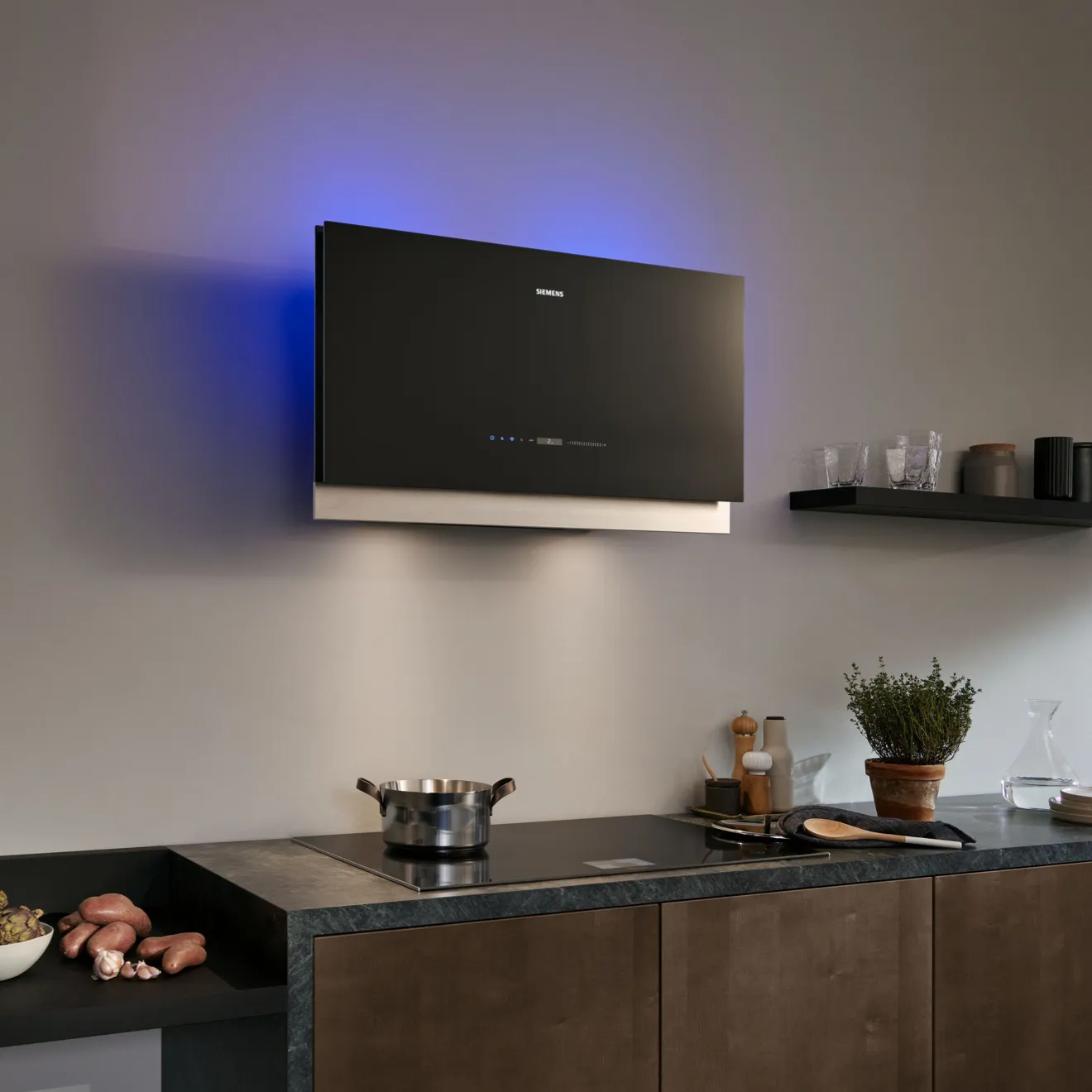 wall mounted hood