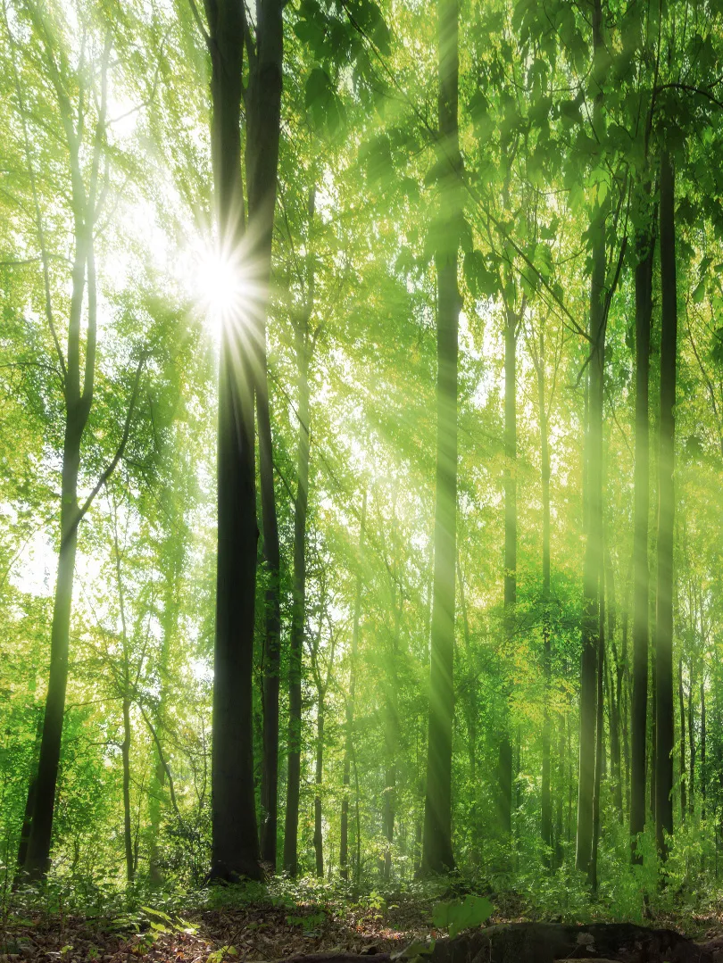 Reasons_Eco_friendly_general_def