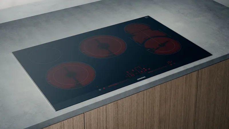 alt-Electric and induction hobs