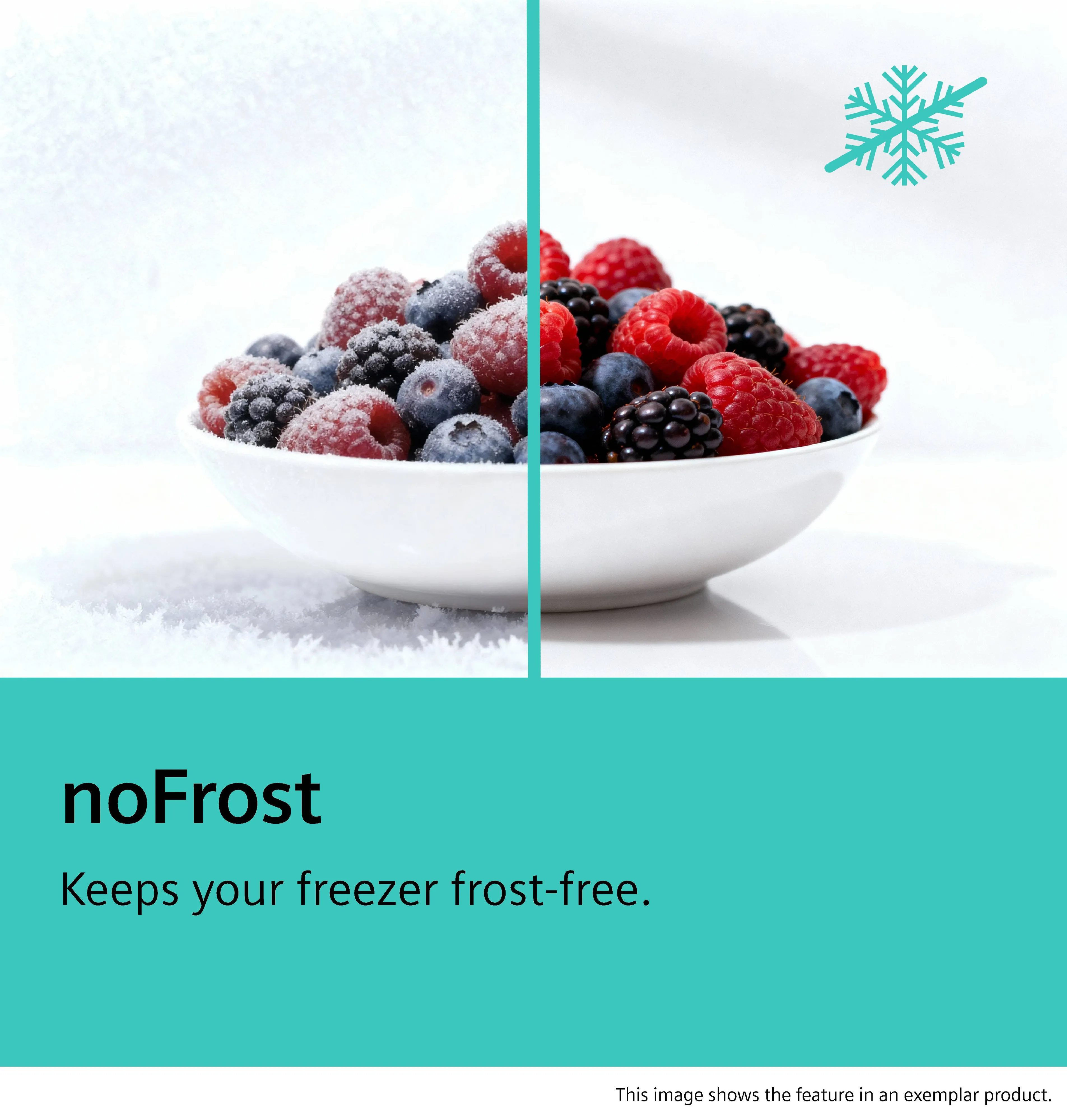 Fotografie č. 8 produktu KI86NVSE0