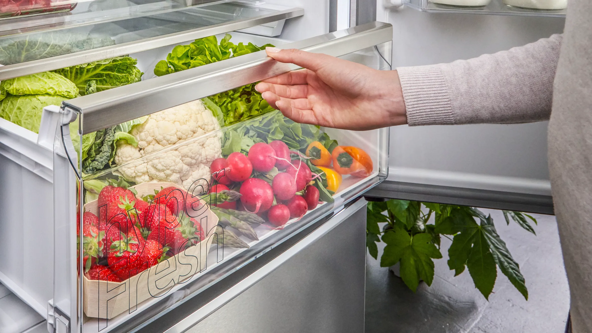 Offener Kühlschrank mit frischen Produkten - Salat, Blumenkohl, Erdbeeren, Tomaten.