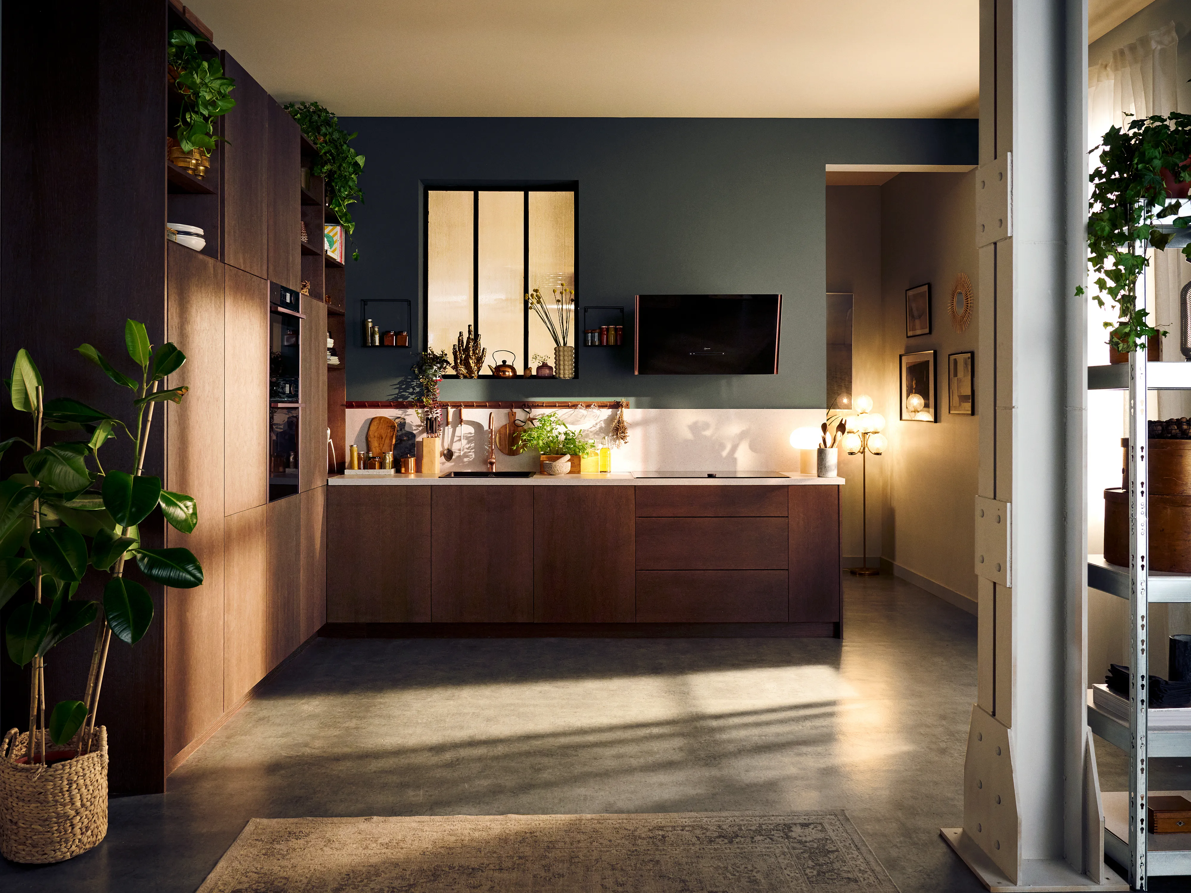 Cozy modern kitchen with dark walls, wooden cabinets, plants, and an extractor hood on the wall.