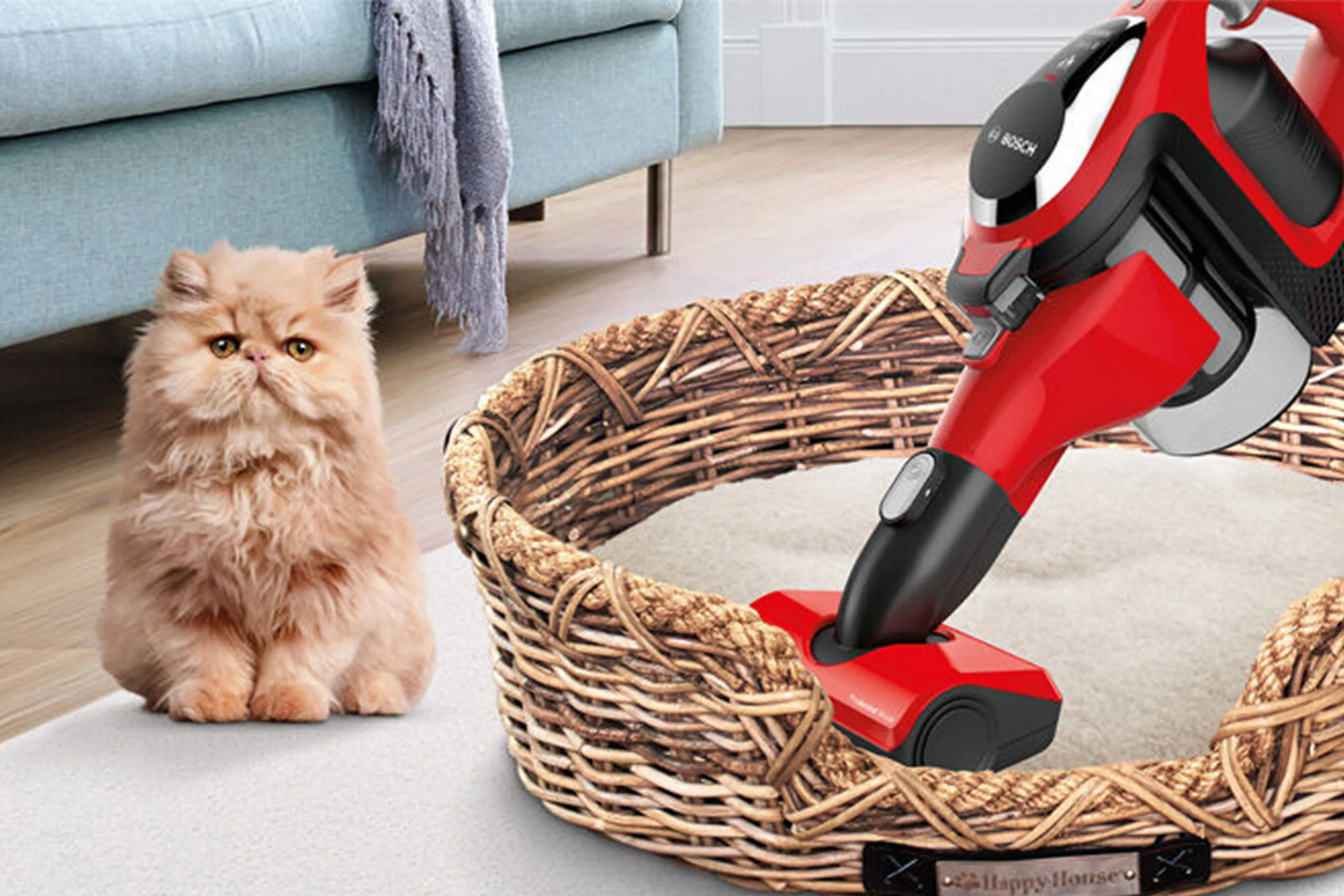Person using vacuum on pet bed