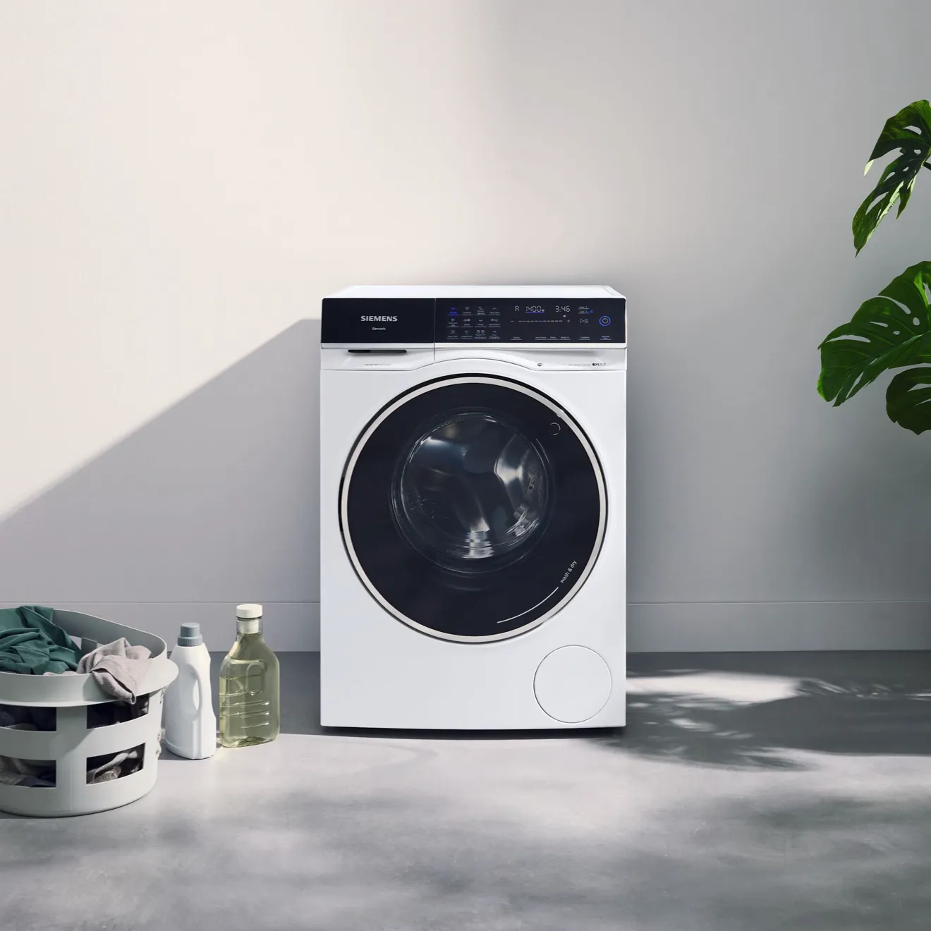Washing machine, laundry detergent, monstera plant, minimalist home decor.