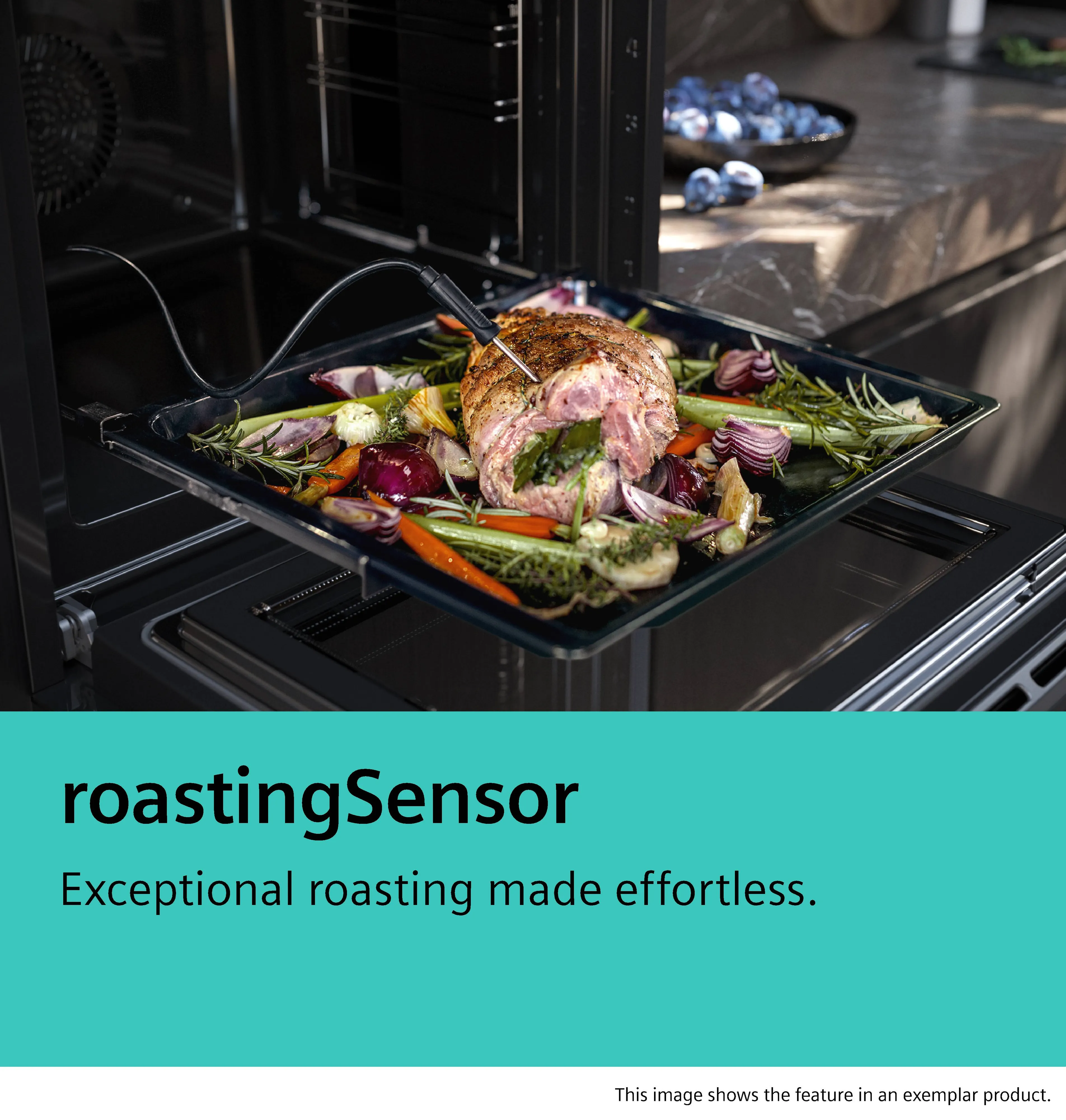 Fotografie č. 7 produktu HB578GFS7