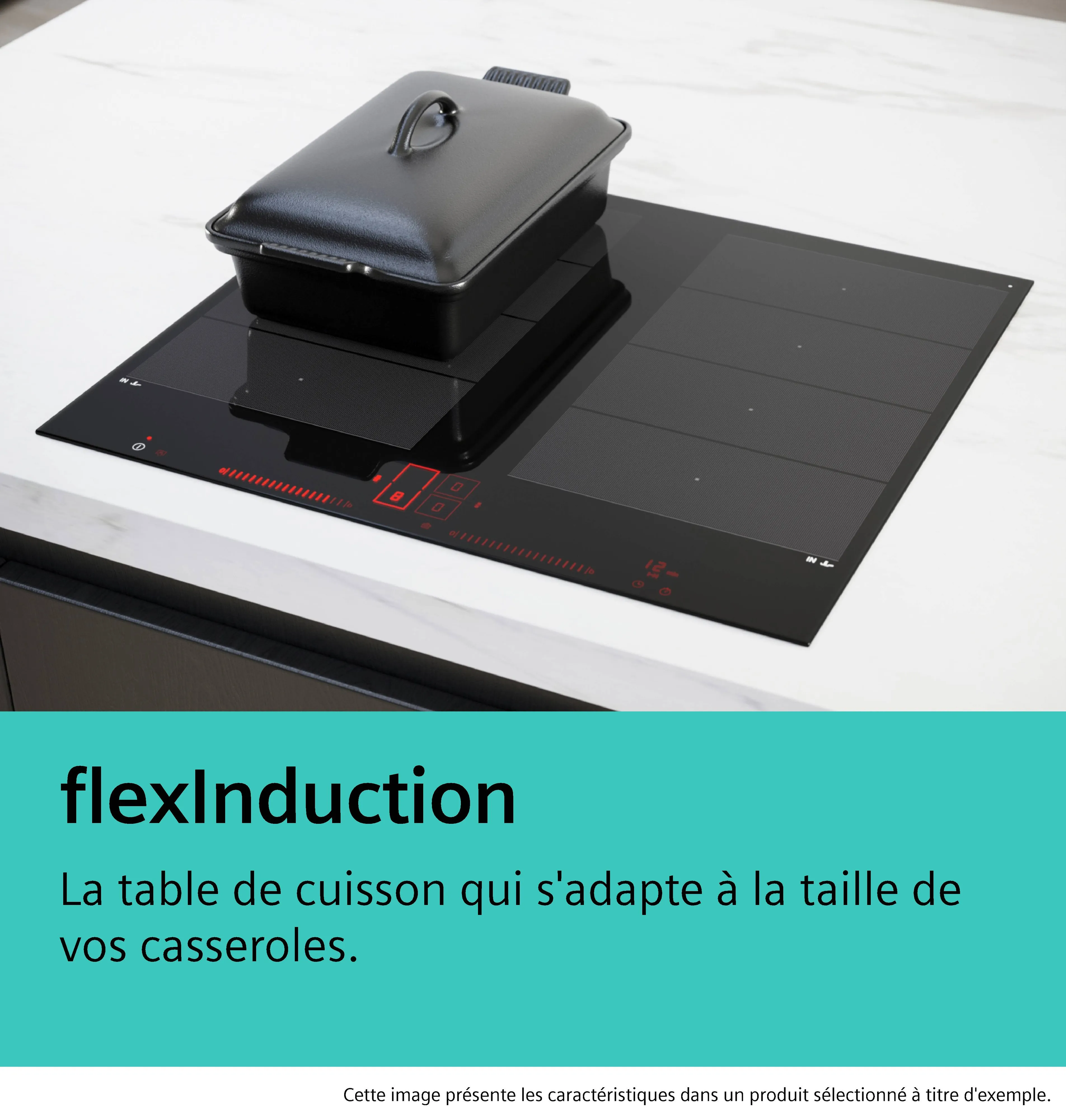 Photo n° 6 du produit EX975LXC1FB